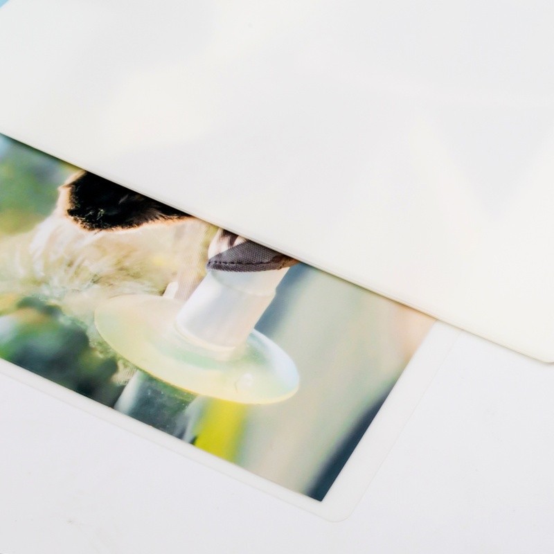 Matte Laminating Film suppliers
